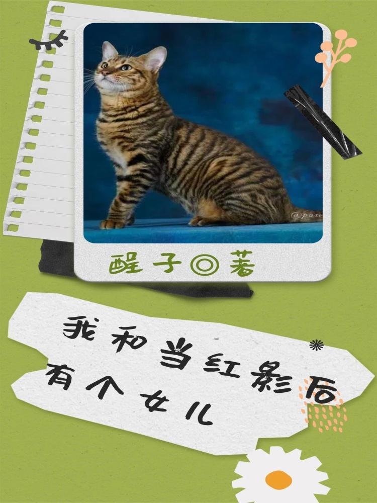 我和影后有个约会txt