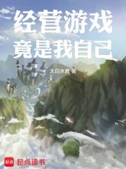 经营游戏玩法
