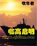 临高启明有声想去南美洲
