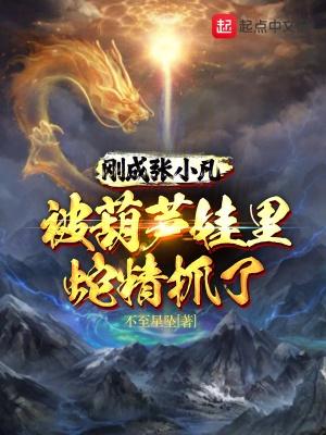 张小凡看到了谁
