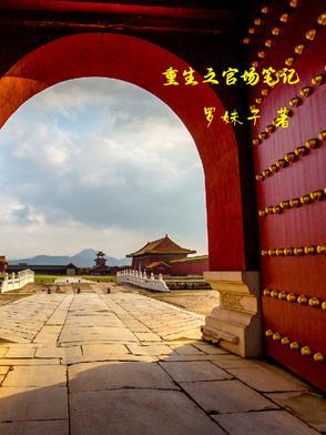 重生之官场纵横免费阅读