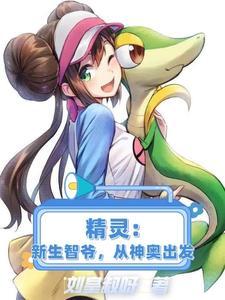 神奇宝贝新生小智2k