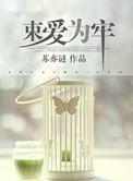 束爱为牢 苏亦谜讲什么
